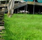 Snowy Valley Resort - ACT Tourism