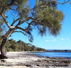 David Jones Cottage - ACT Tourism
