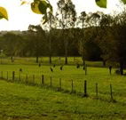 Stone Cottage Mittagong - ACT Tourism
