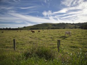 Annas Retreat - ACT Tourism 0
