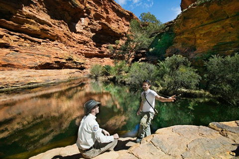 Kings Canyon Holiday Park - ACT Tourism 8