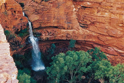 Kings Canyon Holiday Park - ACT Tourism 9