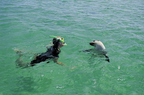 Coodlie Park - Port Kenny - Venus Bay - ACT Tourism 3
