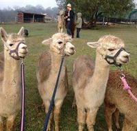 Bunyip Springs Farmstay - ACT Tourism