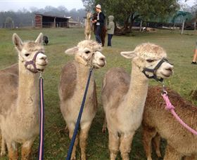 Bunyip Springs Farmstay - ACT Tourism 1