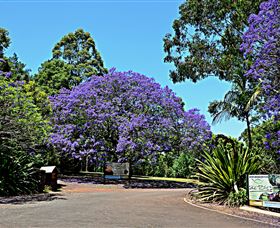 Ravensbourne Escape - ACT Tourism 1