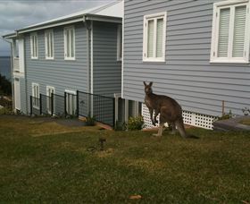 Hyams Beach Bed And Breakfast - ACT Tourism 6