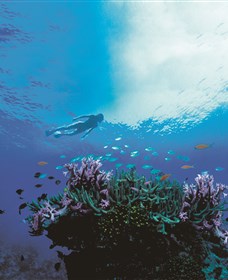 One&Only Hayman Island - ACT Tourism 3