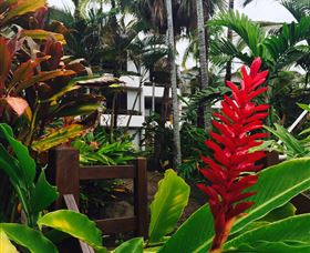 Club Tropical Resort Port Douglas - ACT Tourism 2