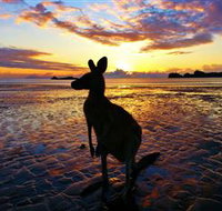 Cape Hillsborough Nature Tourist Park - ACT Tourism