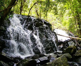 Bellthorpe Stays - Nature's Retreat - ACT Tourism 1