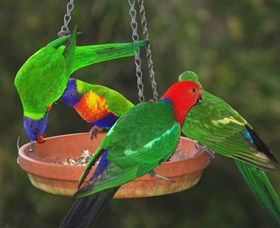 Bellthorpe Stays - Nature's Retreat - ACT Tourism 3