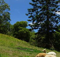 Wattle Gully Retreat - ACT Tourism