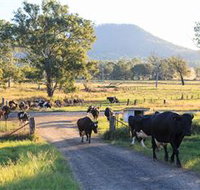 Tommerups Dairy Farmstay - ACT Tourism