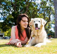 Jacobs Well Tourist Park - ACT Tourism