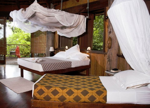 Haggerstone Island Resort - ACT Tourism 1
