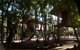 Crab Claw Island Resort - thumb 8