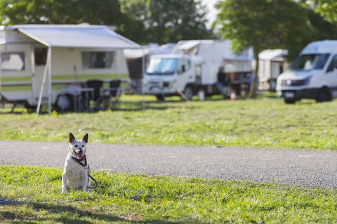 Exhibition Park In Canberra Camping Facilities - ACT Tourism 2