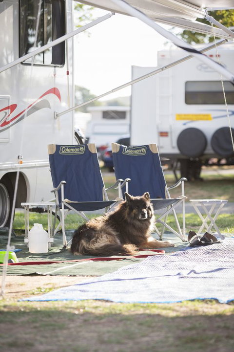 Exhibition Park In Canberra Camping Facilities - ACT Tourism 3