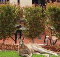 Alpha Canberra Hotel and Apartments - ACT Tourism