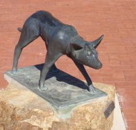The Ardlethan Kelpie Caravan Park - ACT Tourism