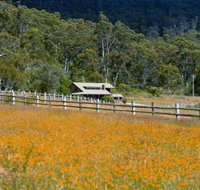 Pender Lea Alpine Guest Accommodation - ACT Tourism