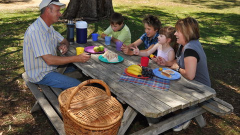 Naracoorte Caves Camping And Accomodation - ACT Tourism 3