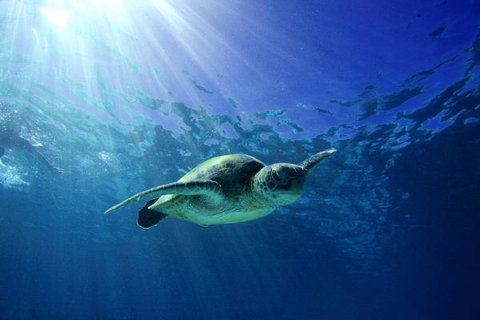 Mackerel Islands - ACT Tourism 6