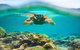 Mackerel Islands - thumb 8