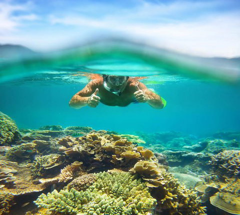 Mackerel Islands - ACT Tourism 8