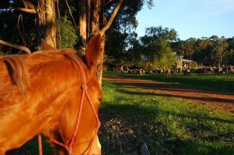 Billa Billa Farm Cottages - ACT Tourism 0