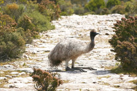 Congo Campground - ACT Tourism 3