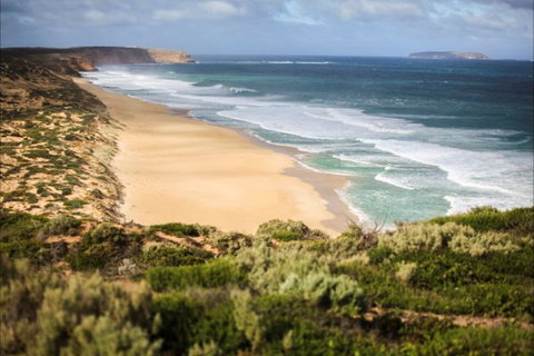 Congo Campground - ACT Tourism 4