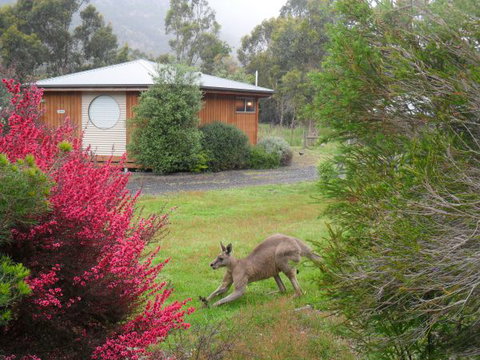 Grampians Chalets - ACT Tourism 2