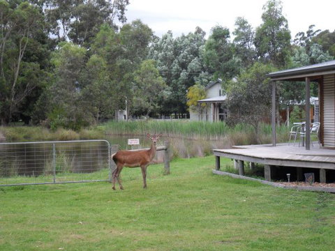 Grampians Chalets - ACT Tourism 3