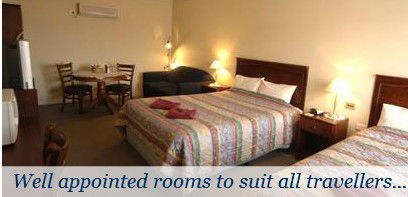Broken Hill Oasis Motor Inn - ACT Tourism 3