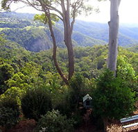 Mt Tamborine Motel - ACT Tourism