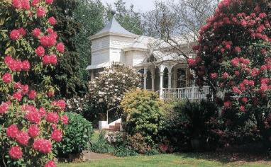 Anabel's Of Scottsdale - ACT Tourism 0