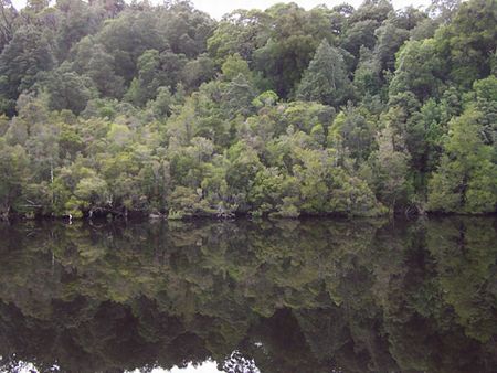 Castaway Holiday Apartments - ACT Tourism 5