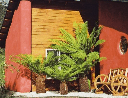 Whispering Spirit Cottage  Miniature Pony Stud - ACT Tourism