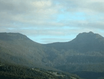 Crabtree House Heritage Suites - ACT Tourism 4