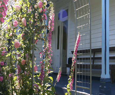Devonport Bed And Breakfast - ACT Tourism