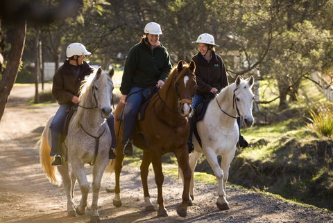 Country Club Tasmania - ACT Tourism 4