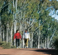 Congelin Camp at Dryandra Woodland - ACT Tourism