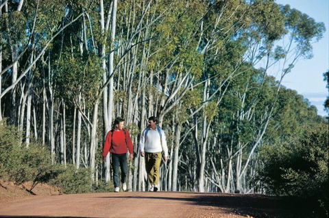 Congelin Camp At Dryandra Woodland - ACT Tourism 0