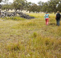 Carnarvon National Park camping - ACT Tourism