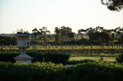 Angas Plains Estate Wines Heritage Suite - ACT Tourism 6