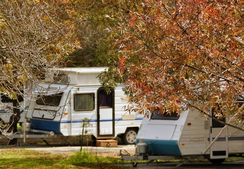 BIG4 Dandenong Tourist Park - ACT Tourism 1