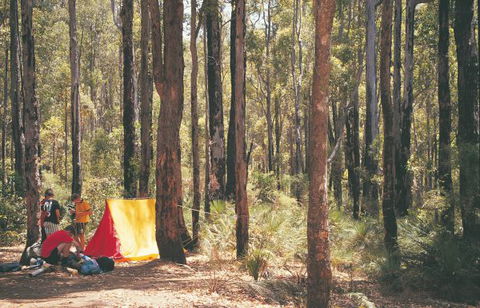 Nanga Mill Camp At Lane Poole Reserve - ACT Tourism 0
