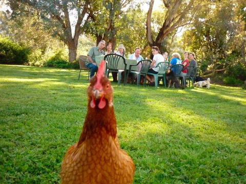 Baranduda Homestead B&B Cottages - ACT Tourism 9